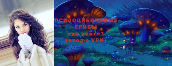 таблы Гусиноозёрск