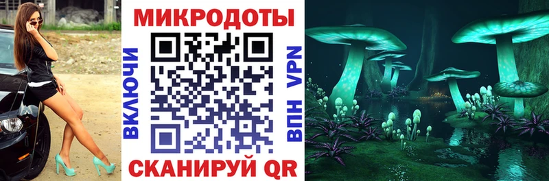 Купить  Правдинск  Галлюциногенные грибы Psilocybe 